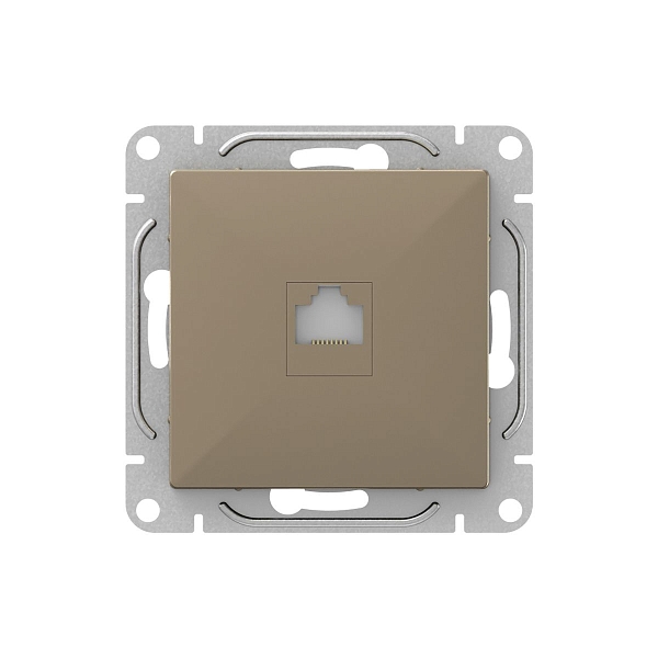 Механизм розетки RJ45 (cat6), шампань Эпика